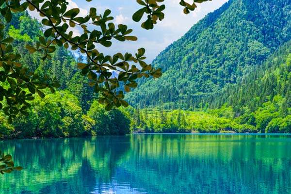 周边游成都武侯 成都武侯附近好玩的地方？-第1张图片-四川省中国青年旅行社